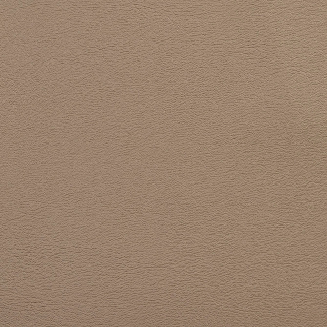 Charlotte Fabric V109 Sandstone Value Vinyl 100% Vinyl, 29oz. Lead Free Asia Exceeds 100,000 Wyzenbeek Rubs (Heavy Duty) No Repeat 54 Inches - My Fabric Connection -