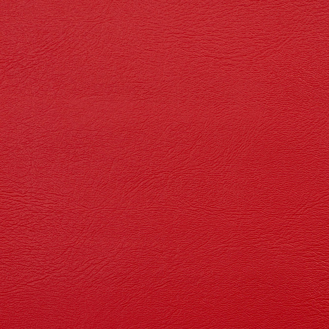 Charlotte Fabric V116 Poppy Value Vinyl 100% Vinyl, 29oz. Asia Exceeds 100,000 Wyzenbeek Rubs (Heavy Duty) </p><p>Repeat: 54 Inches - My Fabric Connection -