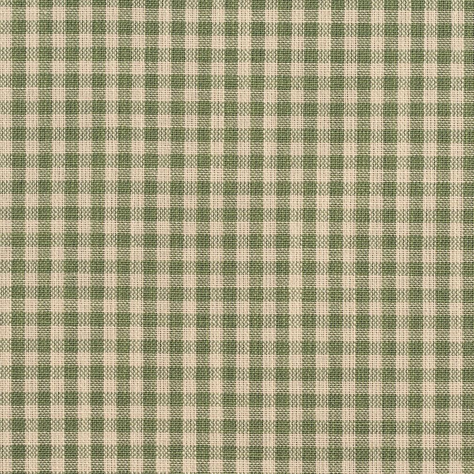 Charlotte Fabric D119 Juniper Gingham Clubhouse Collection 100% Woven Polyester Asia Exceeds 120,000 Wyzenbeek Rubs (Heavy Duty) </p><p>Repeat: Horizontal: .5" x Vertical: .5" 54 Inches - My Fabric Connection -