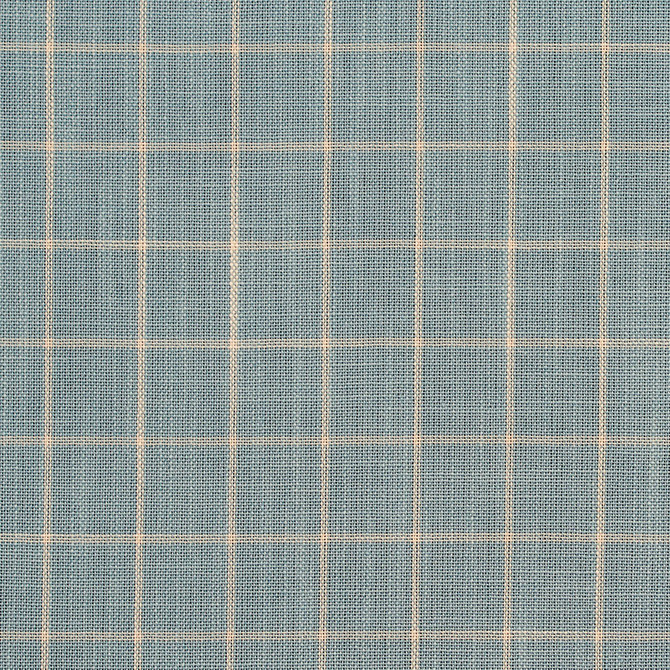 Charlotte Fabric D125 Cornflower Checkerboard Clubhouse Collection 100% Woven Polyester Asia Exceeds 120,000 Wyzenbeek Rubs (Heavy Duty) Horizontal: 1" x Vertical: 1" 54 Inches - My Fabric Connection -