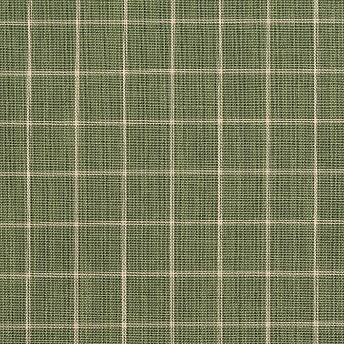 Charlotte Fabric D126 Juniper Checkerboard Clubhouse Collection 100% Woven Polyester Asia Exceeds 120,000 Wyzenbeek Rubs (Heavy Duty) Horizontal: 1" x Vertical: 1" 54 Inches - My Fabric Connection -