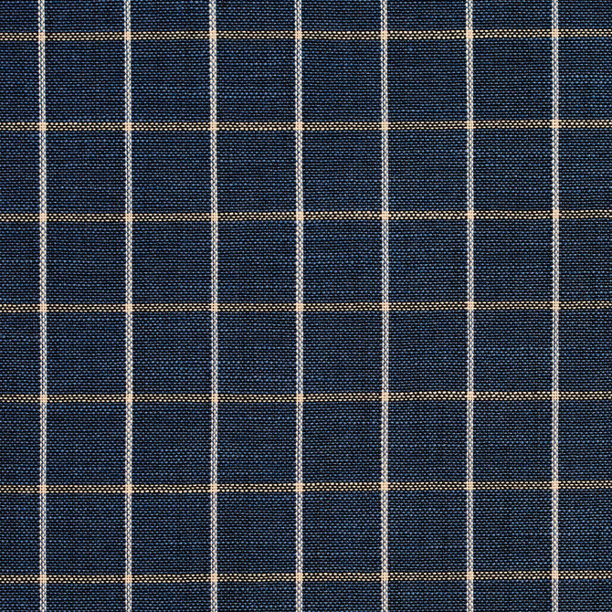 Charlotte Fabric D127 Indigo Checkerboard Clubhouse Collection 100% Woven Polyester Asia Exceeds 120,000 Wyzenbeek Rubs (Heavy Duty) </p><p>Repeat: Horizontal: 1" x Vertical: 1" 54 Inches - My Fabric Connection -