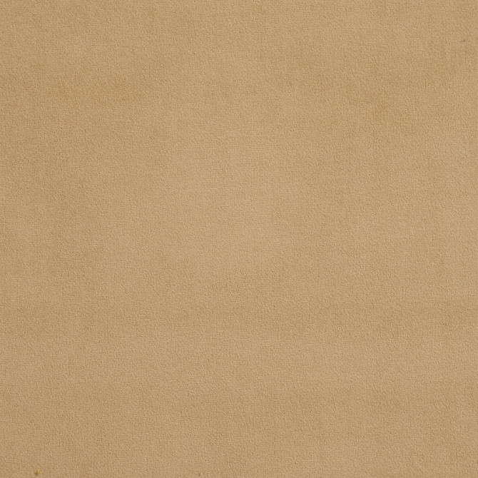 Charlotte Fabric D329 Sand Old World Classics 100% Woven Polyester Asia Exceeds 200,000 Wyzenbeek Rubs (Heavy Duty) No Repeat 54 Inches - My Fabric Connection -