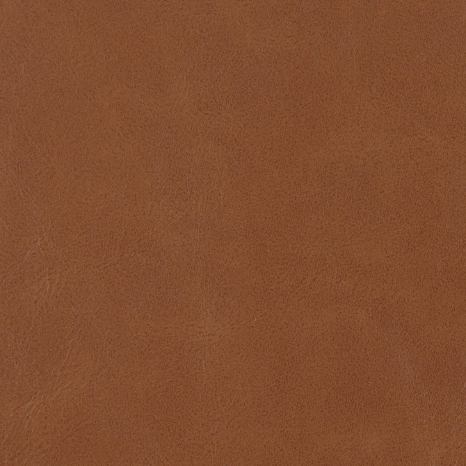 Charlotte Fabric V205 Pecan UltraHyde III Face: Vinyl/Polyurethane, Back: Polyester Microsuede, 29oz. Asia Exceeds 2,000,000 Wyzenbeek Double Rubs (Heavy Duty) </p><p>Repeat: No Repeat 54 Inches - My Fabric Connection -
