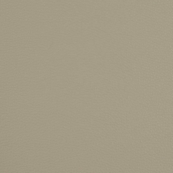 Charlotte Fabric V209 Pewter UltraHyde III Face: Vinyl/Polyurethane, Back: Polyester Microsuede, 29oz. Asia Exceeds 2,000,000 Wyzenbeek Double Rubs (Heavy Duty) </p><p>Repeat: 54 Inches - My Fabric Connection -