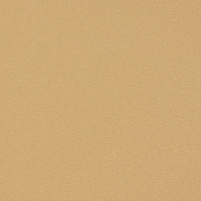 Charlotte Fabric V229 Beach UltraHyde III Face: Vinyl/Polyurethane, Back: Polyester Microsuede, 29oz. Asia Exceeds 2,000,000 Wyzenbeek Double Rubs (Heavy Duty) </p><p>Repeat: 54 Inches - My Fabric Connection -