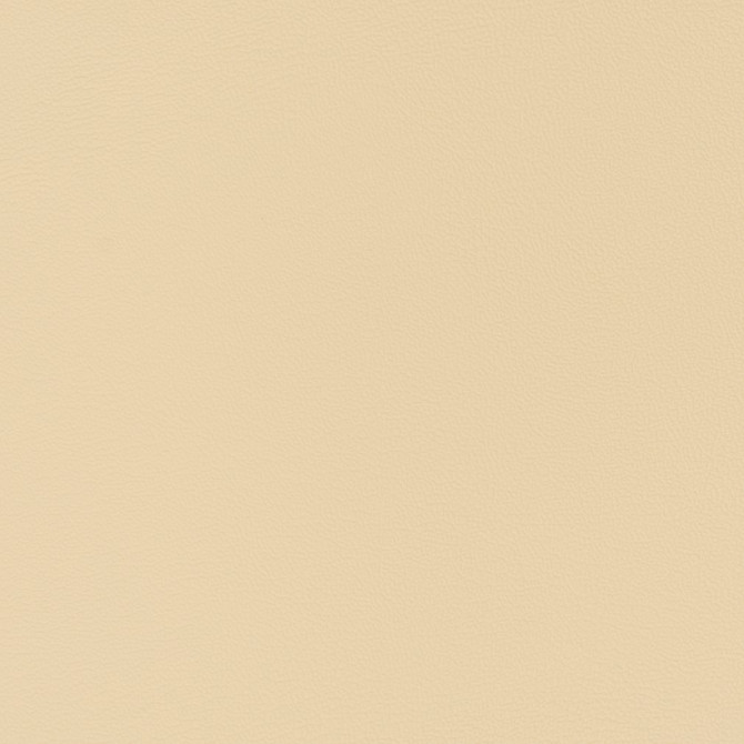 Charlotte Fabric V333 Cream Automotive Vinyl 100% Virgin Vinyl, 30oz. Asia Exceeds 220,000 Wyzenbeek Rubs (Heavy Duty) No Repeat 54 Inches - My Fabric Connection -