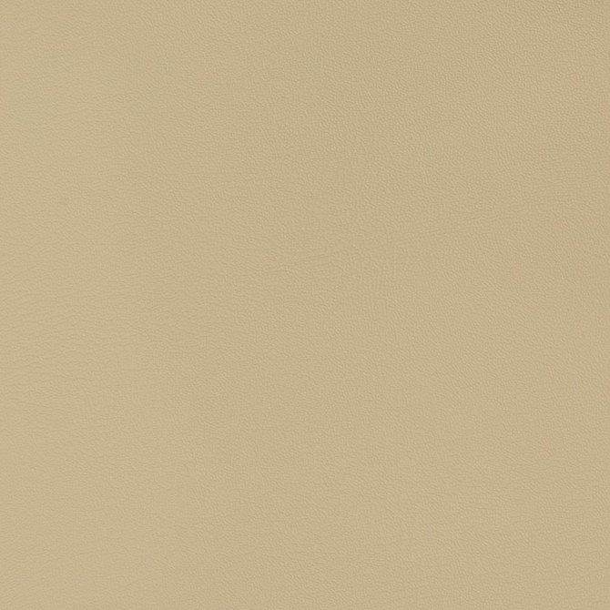 Charlotte Fabric V340 Neutral Automotive Vinyl 100% Vinyl, 30oz. Asia Exceeds 220,000 Wyzenbeek Rubs (Heavy Duty) </p><p>Repeat: No Repeat 54 Inches - My Fabric Connection -