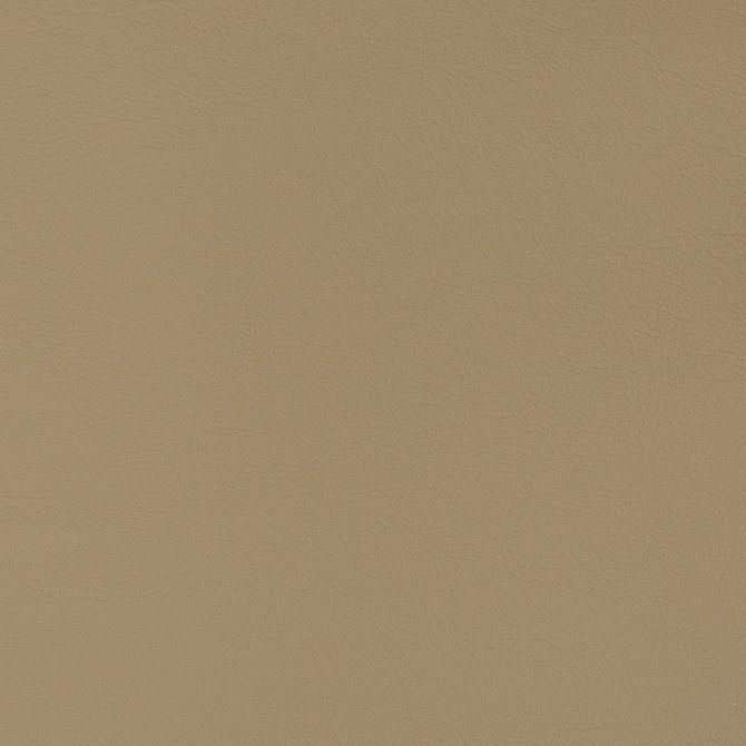 Charlotte Fabric V344 Cappuccino Automotive Vinyl 100% Vinyl, 30oz. Asia Exceeds 220,000 Wyzenbeek Rubs (Heavy Duty) </p><p>Repeat: 54 Inches - My Fabric Connection -