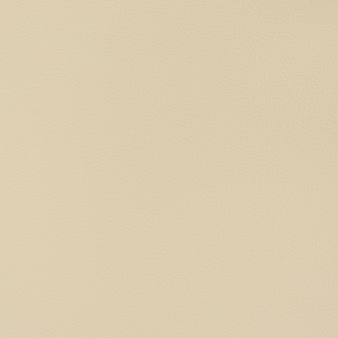 Charlotte Fabric V346 Sand Dollar Automotive Vinyl 100% Virgin Vinyl, 30oz. Asia Exceeds 220,000 Wyzenbeek Rubs (Heavy Duty) No Repeat 54 Inches - My Fabric Connection -