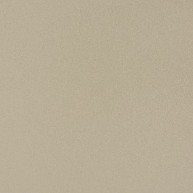 Charlotte Fabric V356 Dolphin Automotive Vinyl 100% Virgin Vinyl, 30oz. Asia Exceeds 220,000 Wyzenbeek Rubs (Heavy Duty) No Repeat 54 Inches - My Fabric Connection -