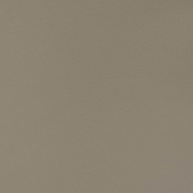 Charlotte Fabric V358 Lead Automotive Vinyl 100% Virgin Vinyl, 30oz. Asia Exceeds 220,000 Wyzenbeek Rubs (Heavy Duty) No Repeat 54 Inches - My Fabric Connection -