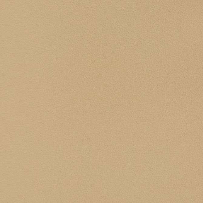 Charlotte Fabric V363 Cashmere Automotive Vinyl 100% Virgin Vinyl, 30oz. Asia Exceeds 220,000 Wyzenbeek Rubs (Heavy Duty) No Repeat 54 Inches - My Fabric Connection -