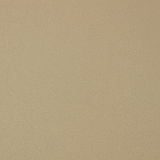 Charlotte Fabric V389 Natural Automotive Vinyl 100% Virgin Vinyl, 30oz. Asia Exceeds 220,000 Wyzenbeek Rubs (Heavy Duty) No Repeat 54 Inches - My Fabric Connection -