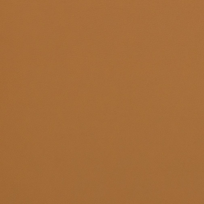 Charlotte Fabric V280 Sable Contract Vinyl 100% Virgin Vinyl, 34oz. Costa Rica Exceeds 200,000 Wyzenbeek Rubs (Heavy Duty) No Repeat 54 Inches - My Fabric Connection -