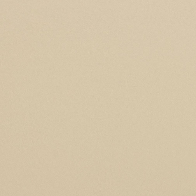 Charlotte Fabric V298 Bone Contract Vinyl 100% Virgin Vinyl, 34oz. Costa Rica Exceeds 200,000 Wyzenbeek Rubs (Heavy Duty) No Repeat 54 Inches - My Fabric Connection -