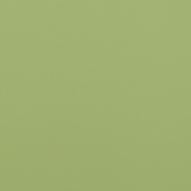 Charlotte Fabric V307 Meadow Contract Vinyl 100% Virgin Vinyl, 34oz. Costa Rica Exceeds 200,000 Wyzenbeek Rubs (Heavy Duty) No Repeat 54 Inches - My Fabric Connection -