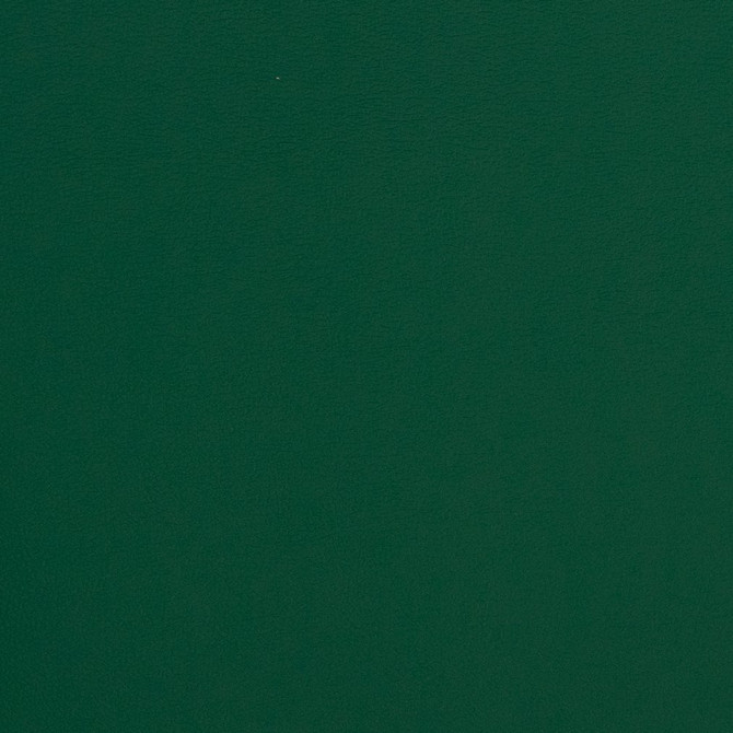 Charlotte Fabric V312 Evergreen Contract Vinyl 100% Vinyl, 34oz. Costa Rica Exceeds 200,000 Wyzenbeek Rubs (Heavy Duty) </p><p>Repeat: No Repeat 54 Inches - My Fabric Connection -
