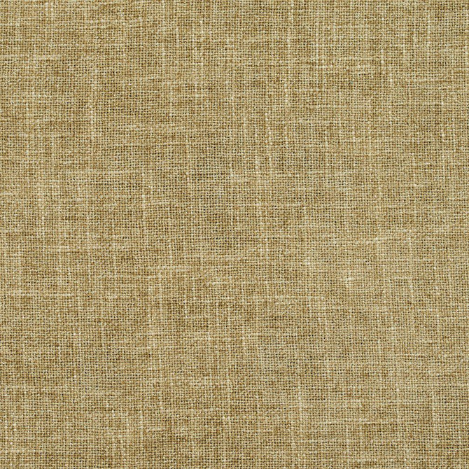 Charlotte Fabric D697 Sage Chenille Textures 82% Polyester, 18% Rayon Asia Exceeds 160,000 Wyzenbeek Rubs (Heavy Duty) </p><p>Repeat: 54 Inches - My Fabric Connection -