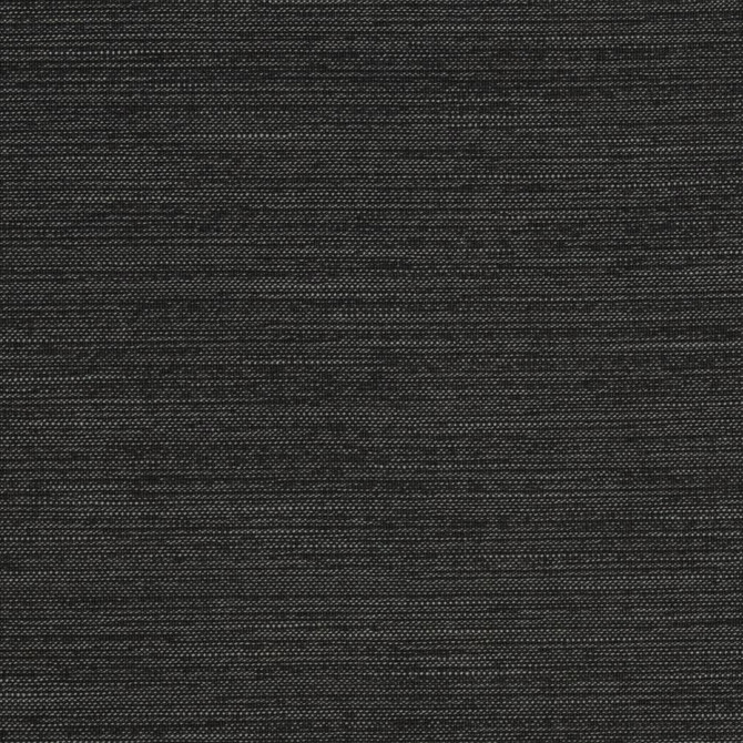 Charlotte Fabric CB600-83 Black & White 100% Woven Polyester Asia Exceeds 120,000 Wyzenbeek Rubs (Heavy Duty) </p><p>Repeat: No Repeat 54 Inches - My Fabric Connection -
