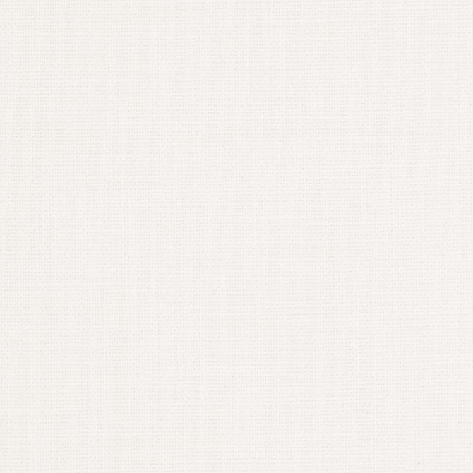 Charlotte Fabric Cb600-10 White 100% Woven Polyester Asia Exceeds 150,000 Wyzenbeek Rubs (Heavy Duty) </p><p>Repeat: No Repeat 54 Inches - My Fabric Connection -