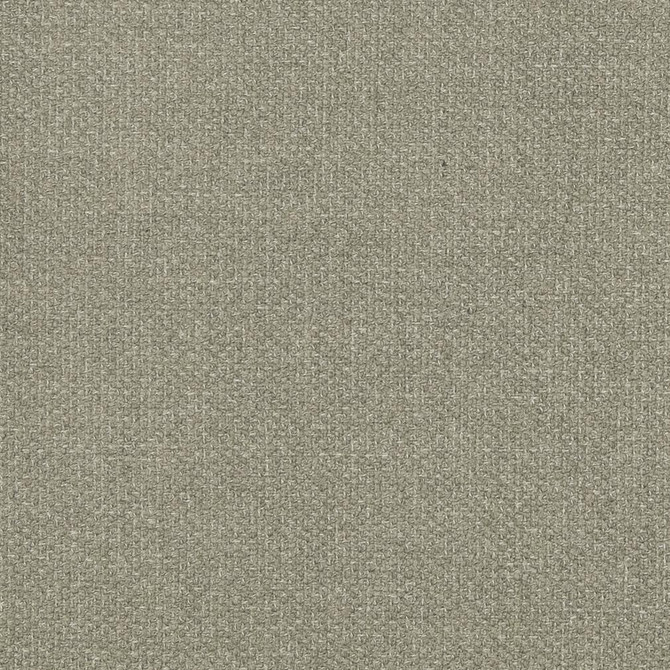 Charlotte Fabric D827 Flannel Contemporary Wovens II 100% Woven Polyester Asia Exceeds 40,000 Wyzenbeek Rubs (Heavy Duty) </p><p>Repeat: No Repeat 54 Inches - My Fabric Connection -