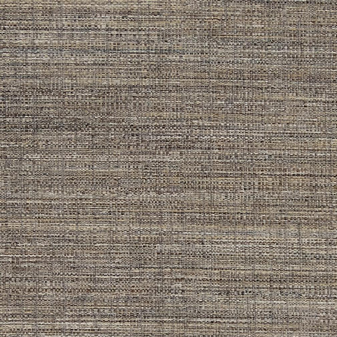 Charlotte Fabric D856 Mushroom Contemporary Wovens II 100% Woven Polyester Asia Exceeds 64,000 Wyzenbeek Rubs (Heavy Duty) No Repeat 54 Inches - My Fabric Connection -