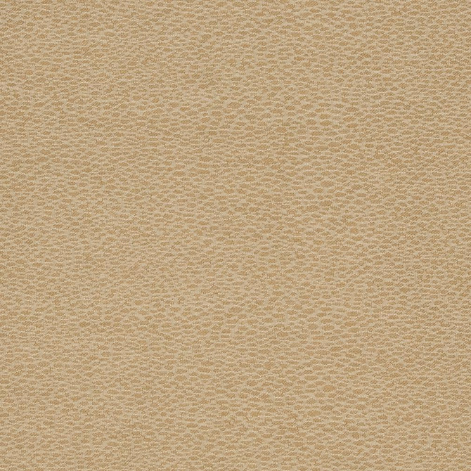 Charlotte Fabric D902 Pebble/Taupe Durables III 100% Woven Polyester Made In USA Exceeds 100,000 Wyzenbeek Rubs (Heavy Duty) No Repeat 54 Inches - My Fabric Connection -