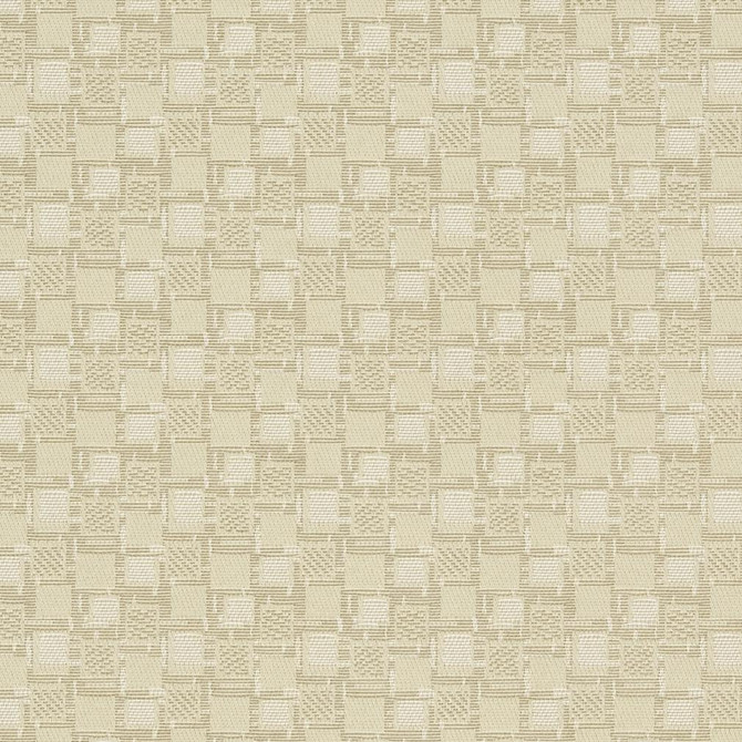 Charlotte Fabric D923 Squares/Canvas Durables III 100% Woven Polyester Made In USA Exceeds 100,000 Wyzenbeek Rubs (Heavy Duty) </p><p>Repeat: Horizontal: 1.75" x Vertical: 1.75" 54 Inches - My Fabric Connection -