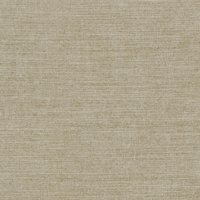 Charlotte Fabric R283 Fawn Ringbook Page #14b 100% Woven Polyester Asia Exceeds 120,000 Wyzenbeek Rubs (Heavy Duty) </p><p>Repeat: No Repeat 54 Inches - My Fabric Connection -