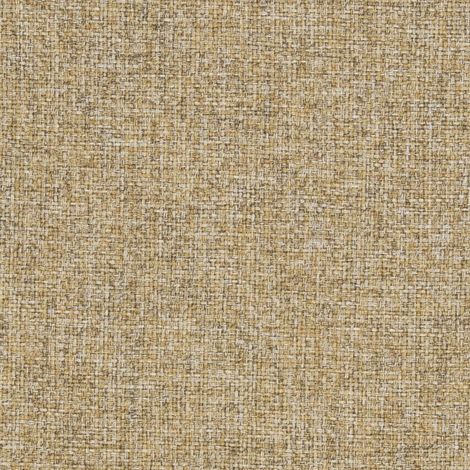 Charlotte Fabric R306 Cornsilk Ringbook Page #16b 100% Woven Polyester Asia Exceeds 140,000 Wyzenbeek Rubs (Heavy Duty) No Repeat 54 Inches - My Fabric Connection -