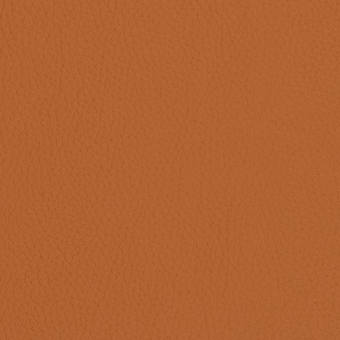 Charlotte Fabric V427 Burnt Sienna Marine Vinyl 100% Vinyl, 33oz. Asia Exceeds 220,000 Wyzenbeek Rubs (Heavy Duty) </p><p>Repeat: 54 Inches - My Fabric Connection -
