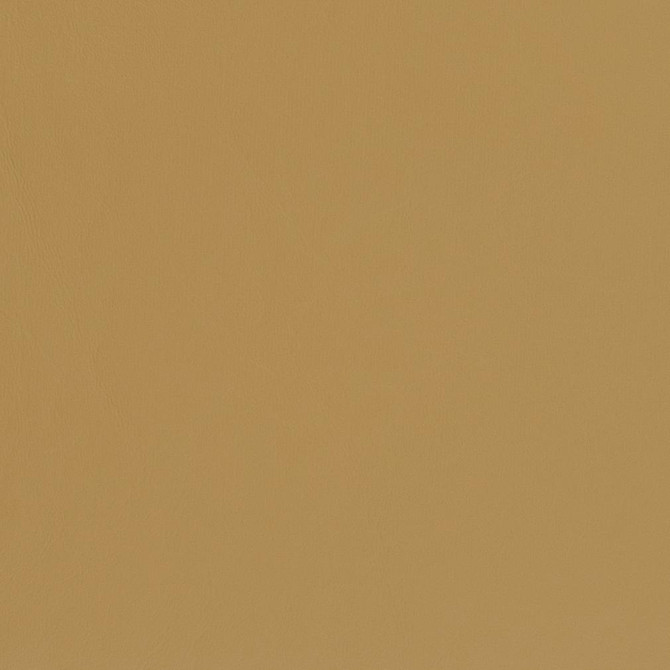 Charlotte Fabric V436 Sand Dune Marine Vinyl 100% Virgin Vinyl, 33oz. Asia Exceeds 220,000 Wyzenbeek Rubs (Heavy Duty) No Repeat 54 Inches - My Fabric Connection -