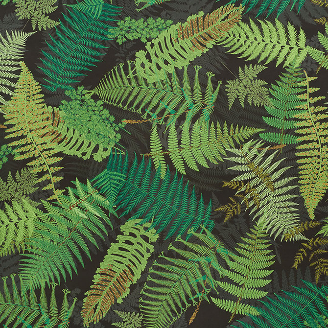 Schumacher Fabric Fernarium Green & Black 177591 CLEMENTS RIBEIRO COTTON 100% UNITED KINGDOM MARTINDALE 18,000 </p><p>Repeat: Horizontal: 54" (137CM) and Vertical: 94" (239CM) 56 - My Fabric Connection -