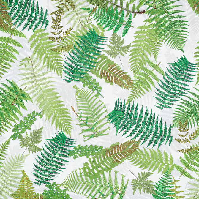 Schumacher Fabric Fernarium Green & Ivory 177590 CLEMENTS RIBEIRO COTTON 100% UNITED KINGDOM MARTINDALE 18,000 </p><p>Repeat: Horizontal: 54" (137CM) and Vertical: 94" (239CM) 56 - My Fabric Connection -