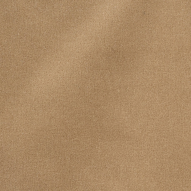 Schumacher Fabric San Carlo Mohair Velvet Doe 64898 Perfect-Basic-Palermo-And-San-Carlo-Mohairs 54% Cotton, 46% Mohair Martindale 40,000 Horizontal: - and Vertical: - 55 - My Fabric Connection -