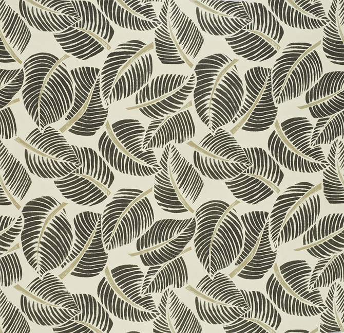 Schumacher Fabric Costa Rica Faded Black 176193 Good Vibrations See Sample ITALY MEDIUM DUTY </p><p>Repeat: Horizontal: 55" (140CM) and Vertical: 47" (119CM) 55" (140CM) - My Fabric Connection -