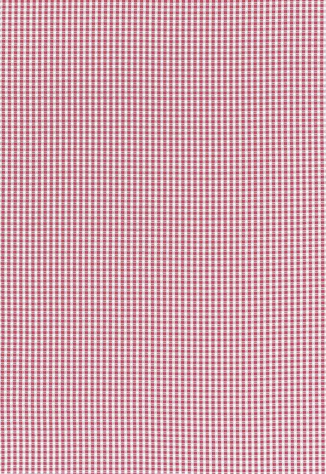 Schumacher Fabric Aruba Check Azalea 68044 Calypso 100% Cotton Martindale 26,000 Horizontal: 3/8- and Vertical: 3/8- 53 - My Fabric Connection -