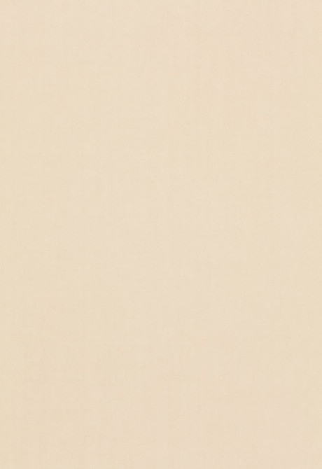 Schumacher Fabric Tristan Cotton Weave Oat 64505 COLLECTION-NAME-TBA-64500 100% Cotton Martindale 15,000 Horizontal: - and Vertical: - 54 - My Fabric Connection -