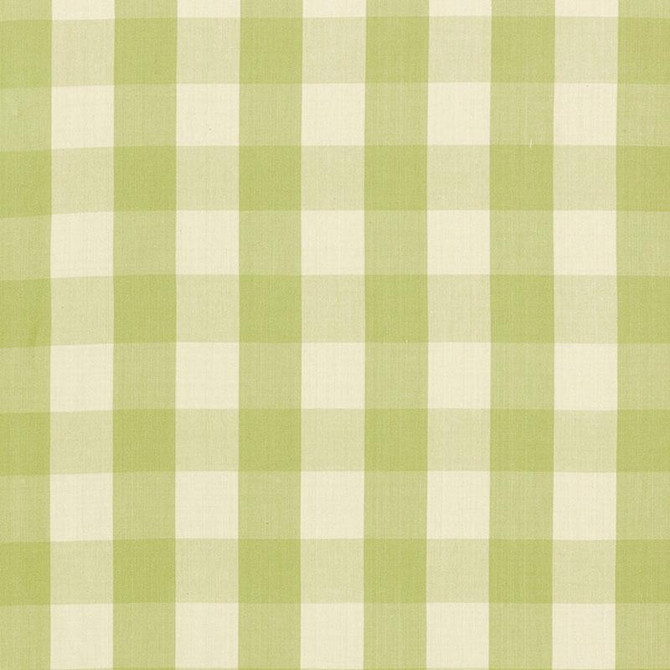 Schumacher Fabric Camden Cotton Check Sage 63036 Revisits Of Popular Patterns 3.0" - My Fabric Connection -