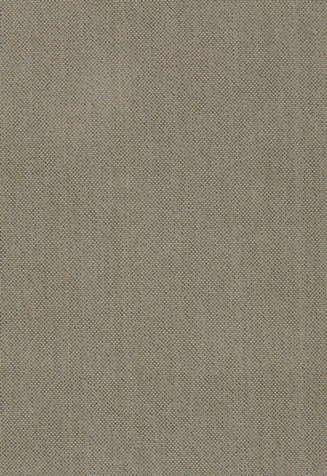Schumacher Fabric Olivier Epingle' Mist 51432 Chroma 100% Cotton Martindale 20,000 Horizontal: - and Vertical: - 53 - My Fabric Connection -