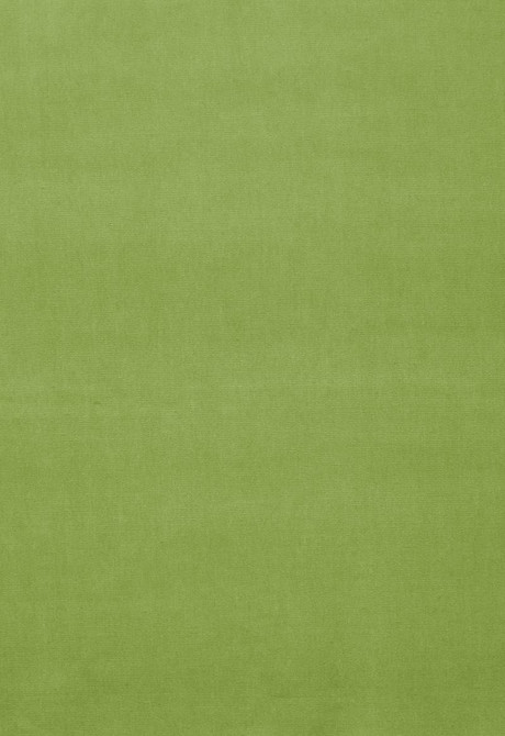 Schumacher Fabric Gainsborough Velvet Apple 42871 Gainsborough-Velvets 100% Cotton Wyzenbeek 40,000 Horizontal: - and Vertical: - 55 - My Fabric Connection -