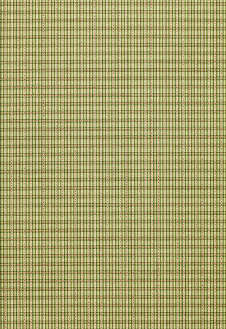 Schumacher Fabric Henson Check Basil 3427001 - 84% Cotton, 16% Viscose Martindale 8,000 Horizontal: 1 and Vertical: 3/4- 55 - My Fabric Connection -