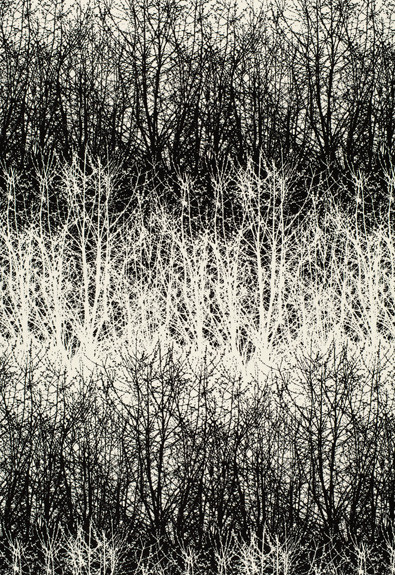 Schumacher Fabric Birches Black 2644021 - 100% Cotton - Horizontal: 13.5 and Vertical: 29.5 54 - My Fabric Connection -