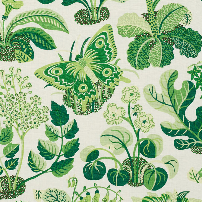 Schumacher Fabric Exotic Butterfly Leaf 176185 GOOD VIBRATIONS See Sample UNITED KINGDOM MEDIUM DUTY </p><p>Repeat: Horizontal: 26 1/2" (67CM) and Vertical: 31" (79CM) 54 1/2" (139CM0 - My Fabric Connection -