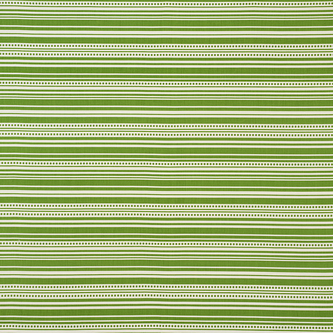 Schumacher Fabric Stripedot Ii Green 176590 INDOOR/OUTDOOR STUDIO BON See Sample UNITED STATES OF AMERICA MEDIUM </p><p>Repeat: Horizontal: 1/2" (1CM) and Vertical: 12 1/2" (32CM) 54" (137CM) - My Fabric Connection -