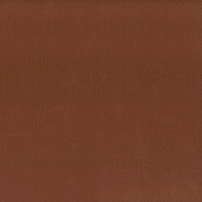 Stout Fabric Hayride 6 Chestnut ON THE GO 100%PVC 1%OTH TAIWAN FLAME RETARDANT-CA BULLETIN 117-SECTION E FLAME RETARDANT-U.F.A.C. CLASS 1 FLAME RETARDANT-N.F.P.A. 260A CLASS 1 FLAME RETARDANT-FMVSS 302 WYZENBEEK 500 000 DOUBLE RUB WEAR TEST(EXTREMELY HEAVY DUTY) Horizontal: 0 and Vertical: 0 54 in - My Fabric Connection -
