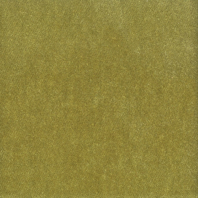 Stout Fabric Moore 42 Avocado TIMELESS VELVETS 82%POL 18%COT SOUTH KOREA FLAME RETARDANT-U.F.A.C. CLASS 1 FLAME RETARDANT-N.F.P.A. 260A CLASS 1 CATB 117-2013 WYZENBEEK 50 000 DOUBLE RUB WEAR TEST (HEAVY DUTY) Horizontal: 0.000 and Vertical: 0.000 54.75 in - My Fabric Connection -
