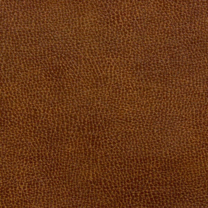 Stout Fabric Noseda 5 Saddle LEATHER LOOKS III PERFORMANCE 100%OTH 6%OTH CHINA Horizontal: 13.500 and Vertical: 13.500 57 in - My Fabric Connection -