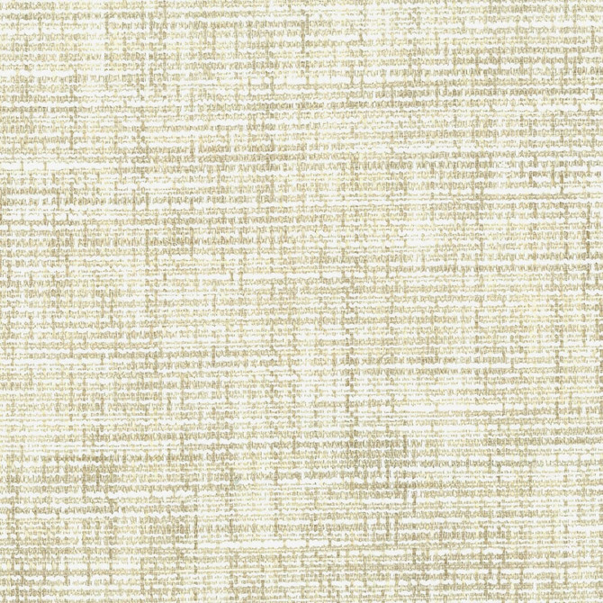 Stout Fabric Conway 1 Marble COMFORTABLE LIVING IVORY/SAND 84%POL 16%SVI INDIA CATB 117-2013 WYZENBEEK 50 000 DOUBLE RUB WEAR TEST (HEAVY DUTY) Horizontal: 0 and Vertical: 0 54 in - My Fabric Connection -